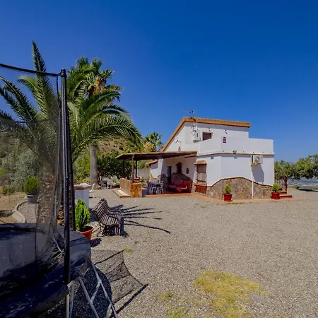 Cubo's Vina Miranda * 卡塔马